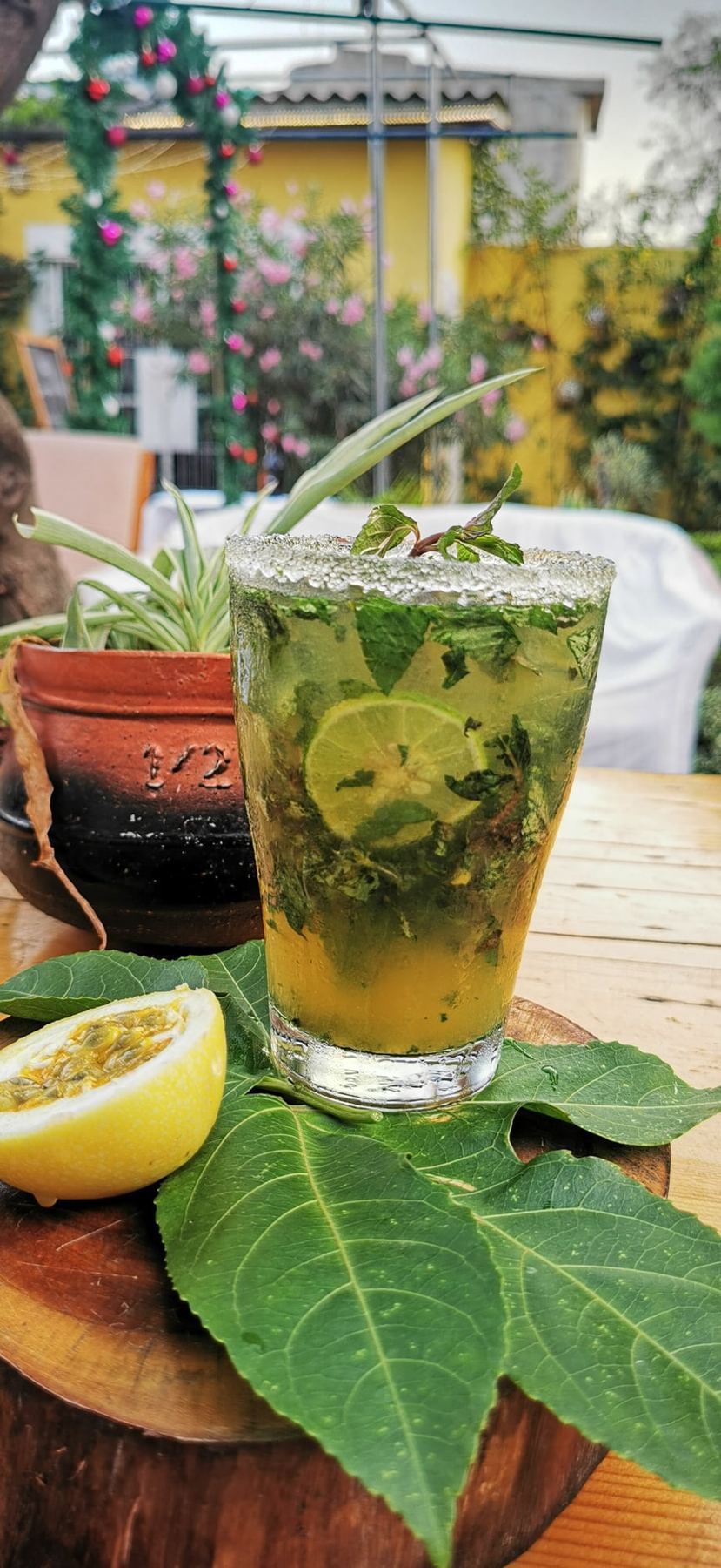 El Jardín de Canelya, jardín-restaurante en Cotonú – foto 8