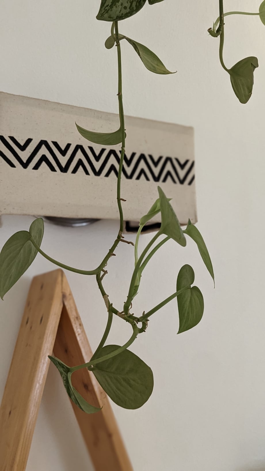 Quarto da La Maison de Canelya, decoração pan-africana – foto 1
